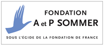 federation medico sociale fms principaux partenaires fondation a et p sommer logo